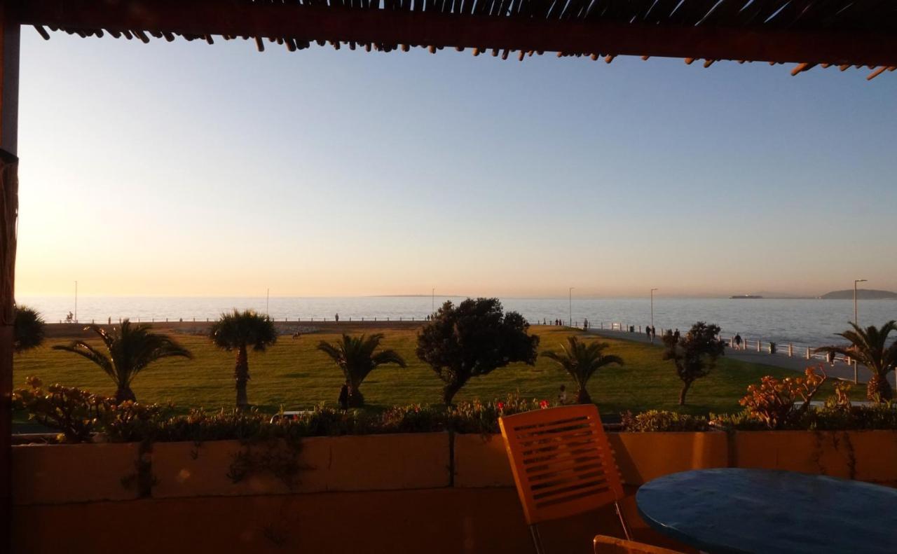 Dolphin Inn Guesthouse Κέιπ Τάουν Εξωτερικό φωτογραφία